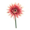Melrose International Gerbera Daisy Floral Stem (set Of 6) - Pink, Green