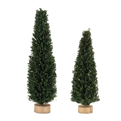 Melrose International Glittered Boxwood Cone Tree (set Of 2) - Green, Beige