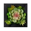 Melrose International Hanging Succulent Box Wall Decor (set Of 6) - Green, Black