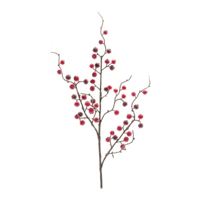 Melrose International Iced Berry Twig Spray (set Of 12) - Red, Brown In Multi