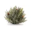 Melrose International Icy Pine Half Orb With Pinecones (set Of 2) - Green, Brown