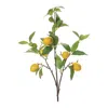 Melrose International Lemon Fruit Foliage Branch (set Of 6) - Yellow, Green