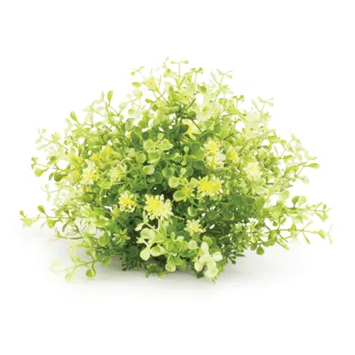 Melrose International Mini Leaf Foliage Half Orb (set Of 2) - Green
