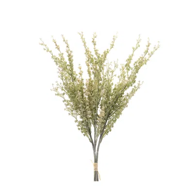 Melrose International Mini Seed Pod Bundle (set Of 2) - Green