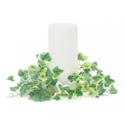 Melrose International Mixed Ivy Candle Ring (set Of 6) - Green, White