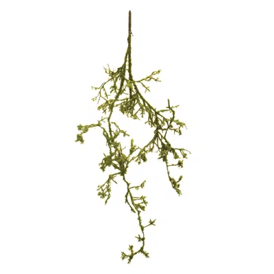 Melrose International Mossy Twig Branch Vine (set Of 6) - Green, Brown