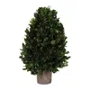 Melrose International Natural Boxwood Foliage Topiary 15.5"h - Green, Brown