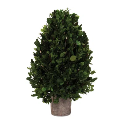 Melrose International Natural Boxwood Foliage Topiary 15.5"h - Green, Brown