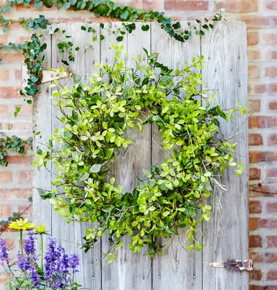 Melrose International Oversized Mixed Foliage Twig Wreath 30"d - Green