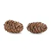 Melrose International Pine Cone Decor (set Of 12) - Brown