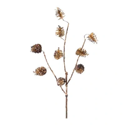 Melrose International Pine Cone Stems In Brown