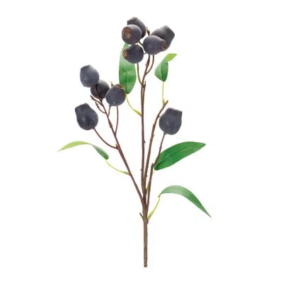 Melrose International Plum Pod Stems In Green,plum