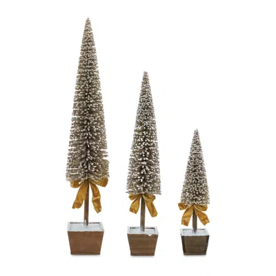 Melrose International Potted Bottle Brush Pine Tree (set Of 3) - Gold; White