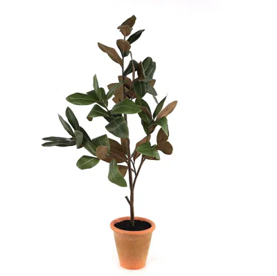 Melrose International Potted Magnolia Tree Topiary 22"h - Green