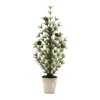 Melrose International Potted Mini Pine Tree 24"h - Green, Brown