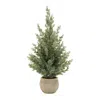 Melrose International Potted Mini Pine Tree (set Of 2) - Green