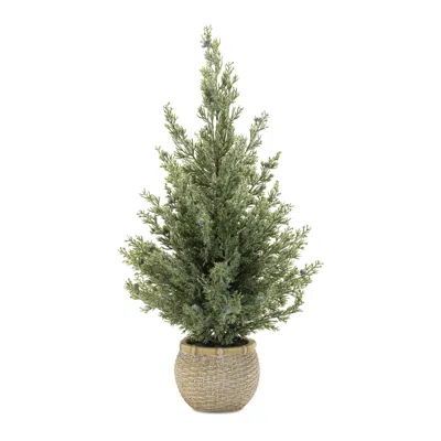 Melrose International Potted Mini Pine Tree (set Of 2) - Green
