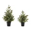 Melrose International Potted Mini Pine Tree (set Of 2) - Green, Black