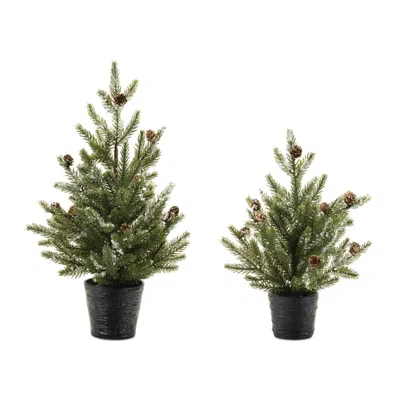 Melrose International Potted Mini Pine Tree (set Of 2) - Green, Black