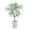 Melrose International Potted Olive Leaf Topiary 17.5"h - Green, Brown