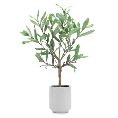 Melrose International Potted Olive Leaf Topiary 17.5"h - Green, Brown