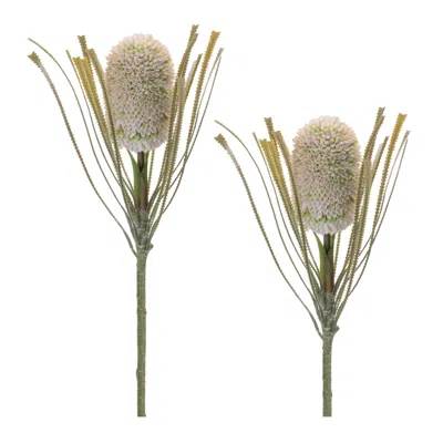 Melrose International Protea Floral Stem (set Of 2) - Green
