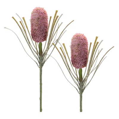 Melrose International Protea Floral Stem (set Of 2) - Red, Green