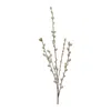 Melrose International Pussy Willow Twig Spray (set Of 6) - Green