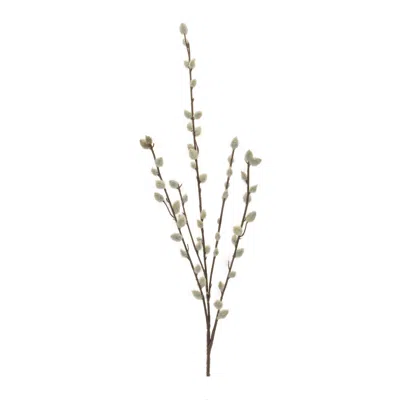 Melrose International Pussy Willow Twig Spray (set Of 6) - Green