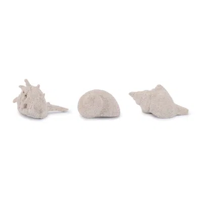 Melrose International Sea Shell Filler Decor (set Of 12) - Beige