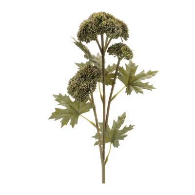 Melrose International Sedum Succulent Spray (set Of 6) - Green