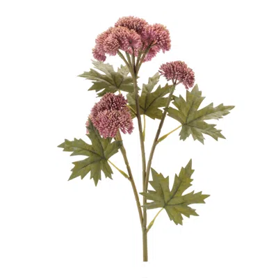 Melrose International Sedum Succulent Spray (set Of 6) - Red, Green