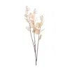 Melrose International Seeded Eucalyptus Stem (set Of 2) - Beige