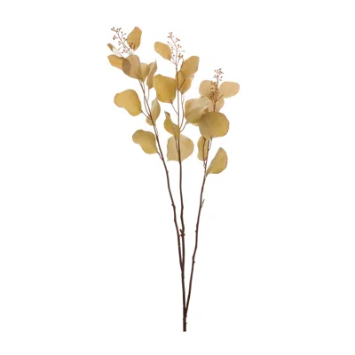 Melrose International Seeded Eucalyptus Stem (set Of 2) - Brown