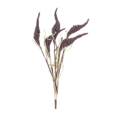 Melrose International Seeded Harvest Bush (set Of 12) - Brown, Tan