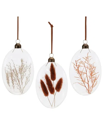 Melrose International Set Of 12 Burgandy Dried Floral Glass Ornament In Multi
