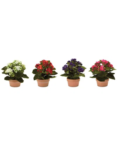 MELROSE INTERNATIONAL MELROSE INTERNATIONAL SET OF 4 ASSORTED KALANCHOE FLOWER IN TERRA COTTA
