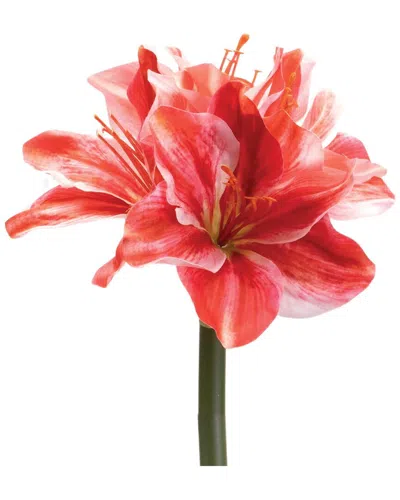 Melrose International Set Of 6 Amaryllis Flower Stem In Red