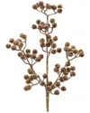 Melrose International Set Of 6 Beaded Berry Spray In Gold