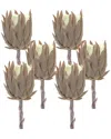 Melrose International Set Of 6 Beige Protea Stem In Brown