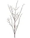 Melrose International Set Of 6 Birch Twig Branch In Brown