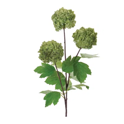 Melrose International Snowball Floral Spray (set Of 6) - Green
