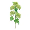 Melrose International Snowball Floral Spray (set Of 6) - Green