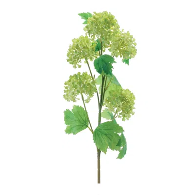 Melrose International Snowball Floral Spray (set Of 6) - Green