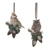 Melrose International Snowy Cardinal Bird And Owl Ornament (set Of 12) - Brown, Green