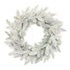 Melrose International Snowy Flocked Pine Wreath 24"d - White, Green