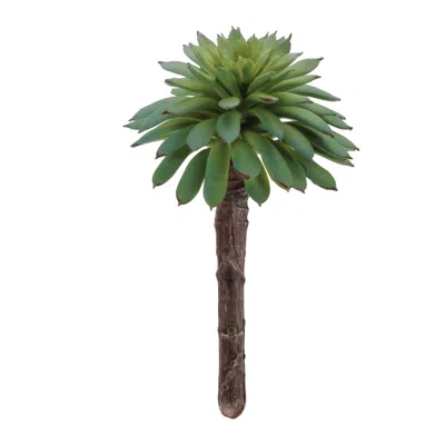 Melrose International Succulent Plant Pick (set Of 12) - Green