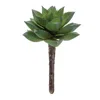 Melrose International Succulent Plant Pick (set Of 12) - Green