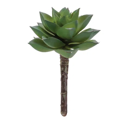 Melrose International Succulent Plant Pick (set Of 12) - Green