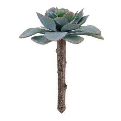 Melrose International Succulent Plant Pick (set Of 12) - Green